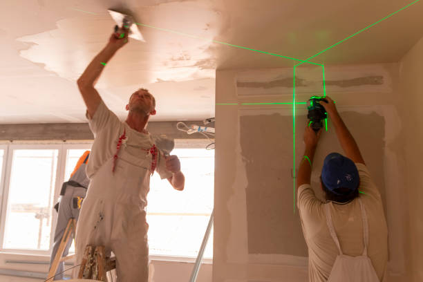 Best Drywall Sanding and Smoothing  in Halifax, VA